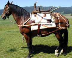 Bighorn Decker Pack Saddle