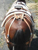 Bighorn Decker Pack Saddle