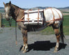 Pro Leather End Canvas Pack Panniers - Standard & Oversize