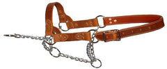 Heavy Duty Chain Mule Halter