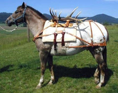 Bitterroot Sawbuck Pack Saddles