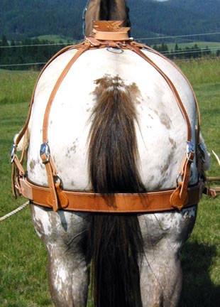 Bitterroot Sawbuck Pack Saddles
