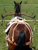 Bighorn Decker Pack Saddle