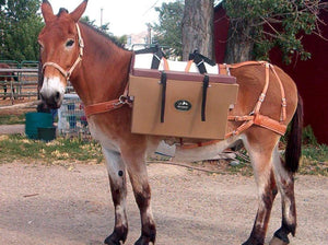 High Country Hard Panniers