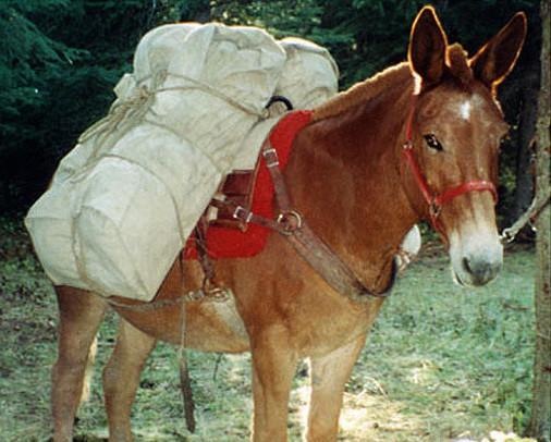 tarp halter Grommeted Pack Manti Tarp