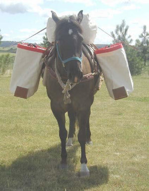 Donkey or Llama Utah Panniers
