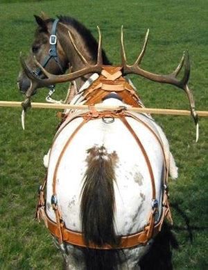 Bitterroot Sawbuck Pack Saddles