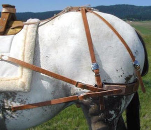 Bitterroot Sawbuck Pack Saddles