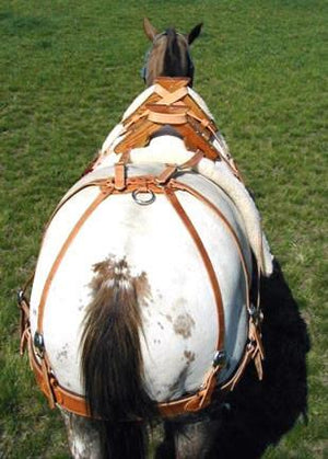 Bitterroot Sawbuck Pack Saddles