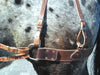 Teton Decker Pack Saddle - Standard or Small Size